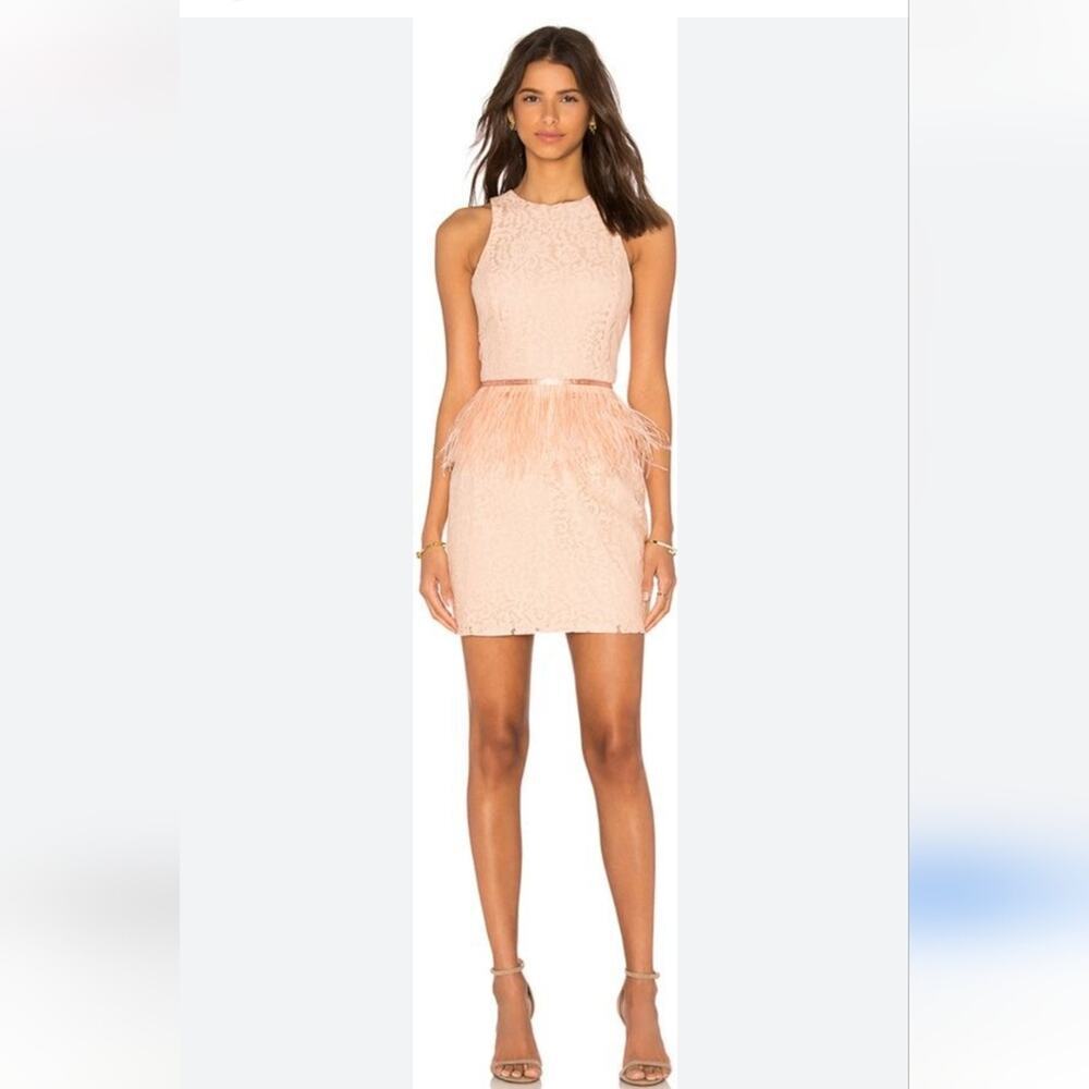 Revolve Endless Rose Lace Feather Replum Dress SZ Med NWT Apricot color coquette